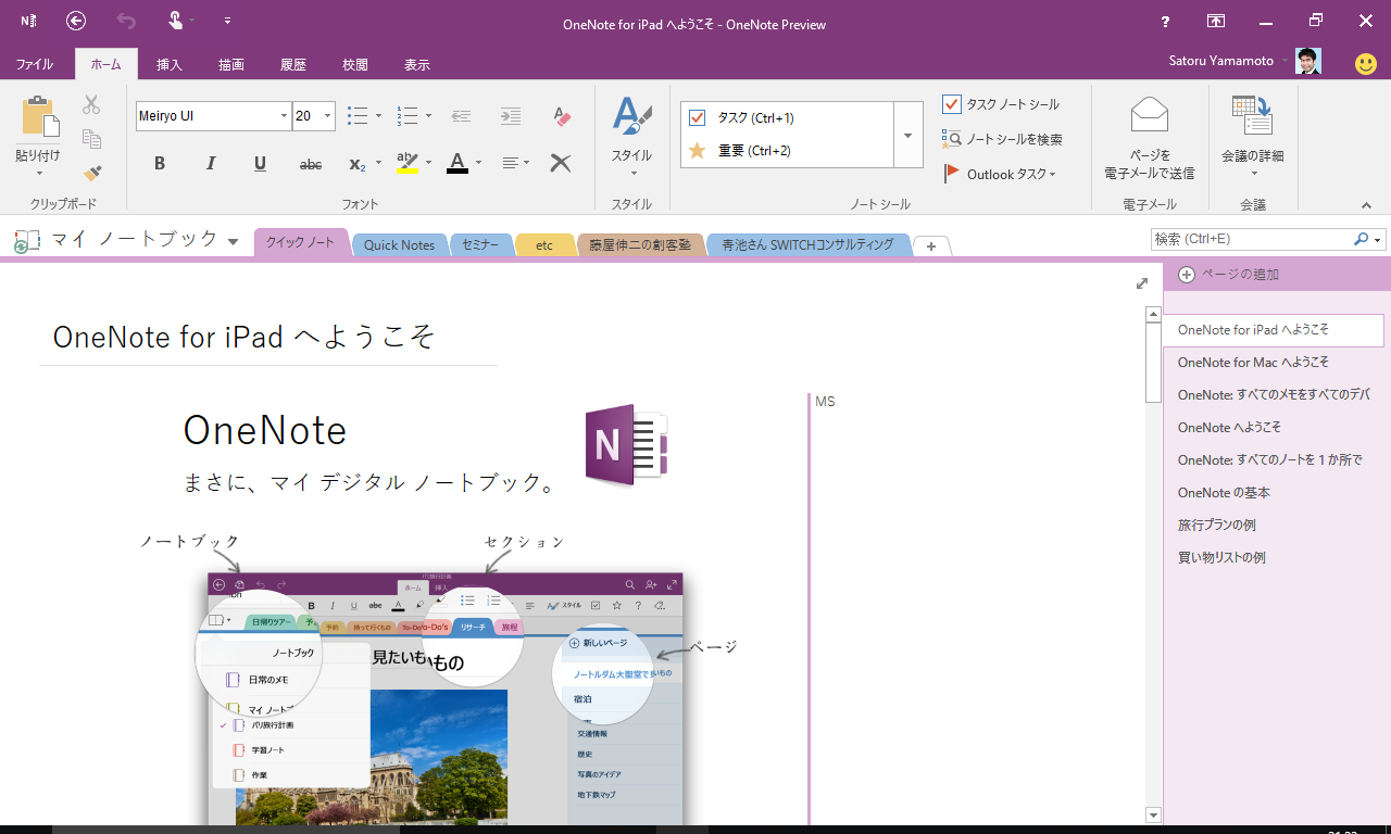 Microsoft onenote 2010 portable